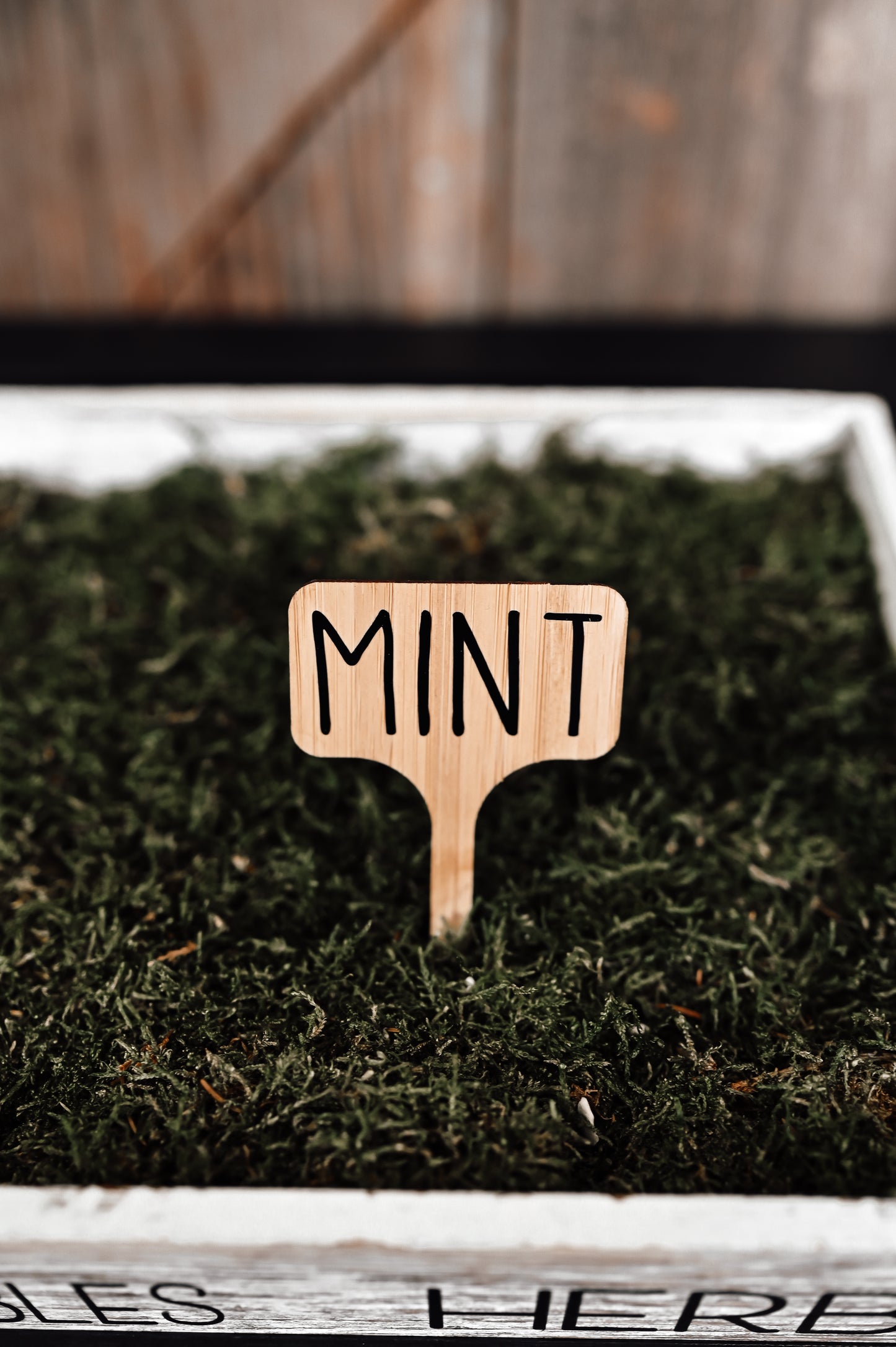 mint-garden-stake