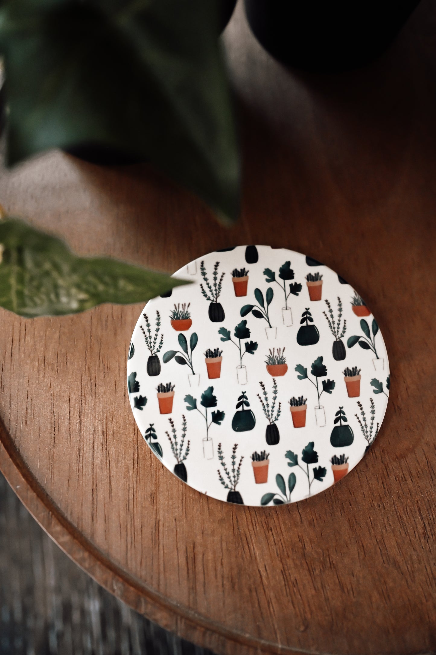 houseplant-coaster-set