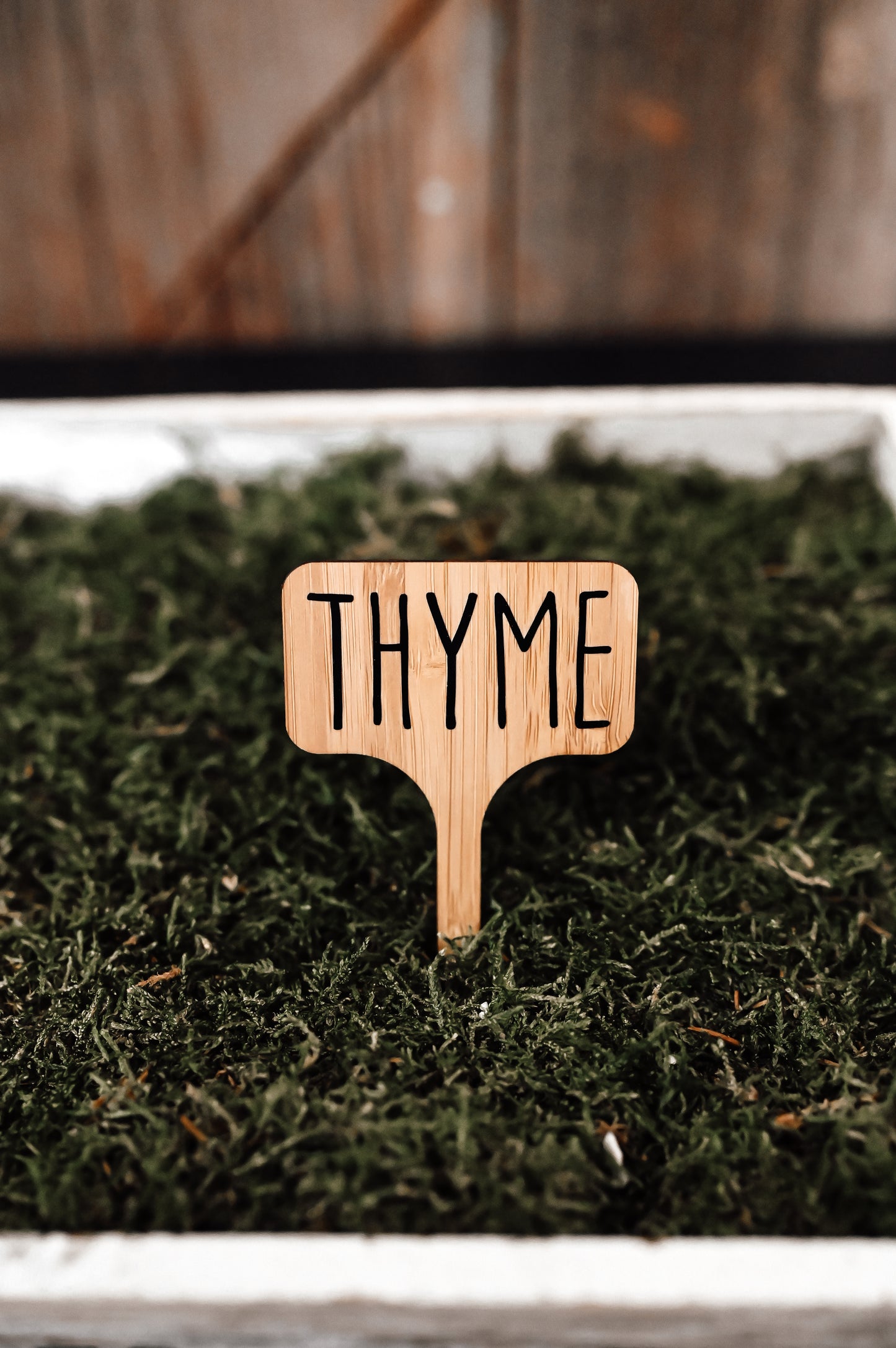 thyme-garden-stake