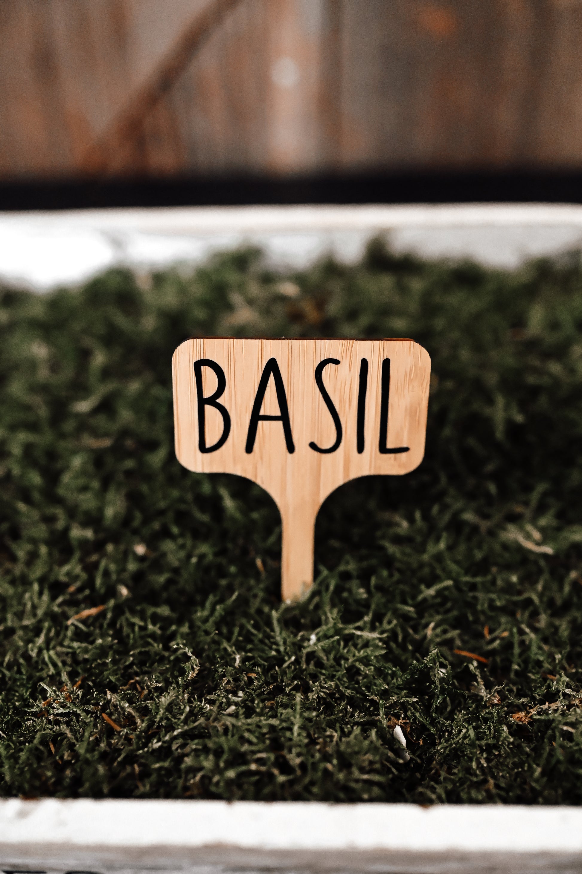 basil-garden-stake