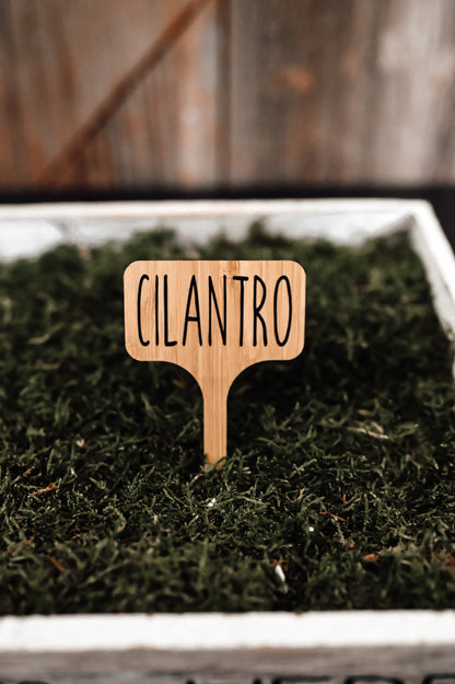 cilantro-garden-stake