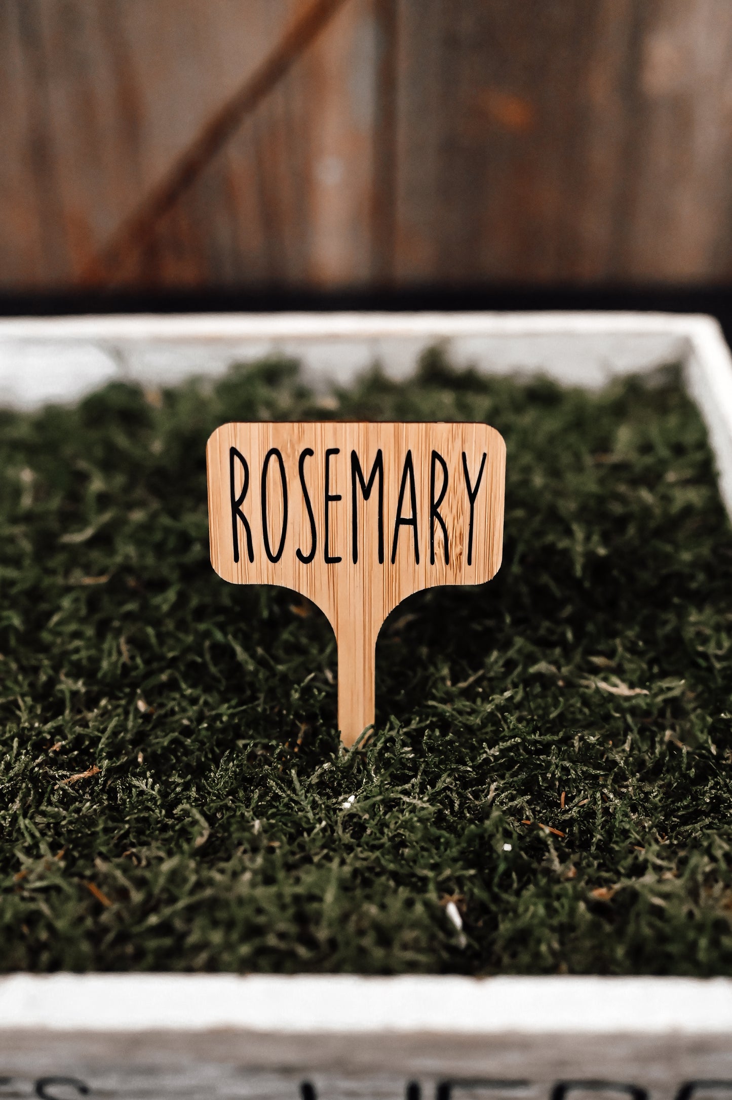 rosemary-garden-stake