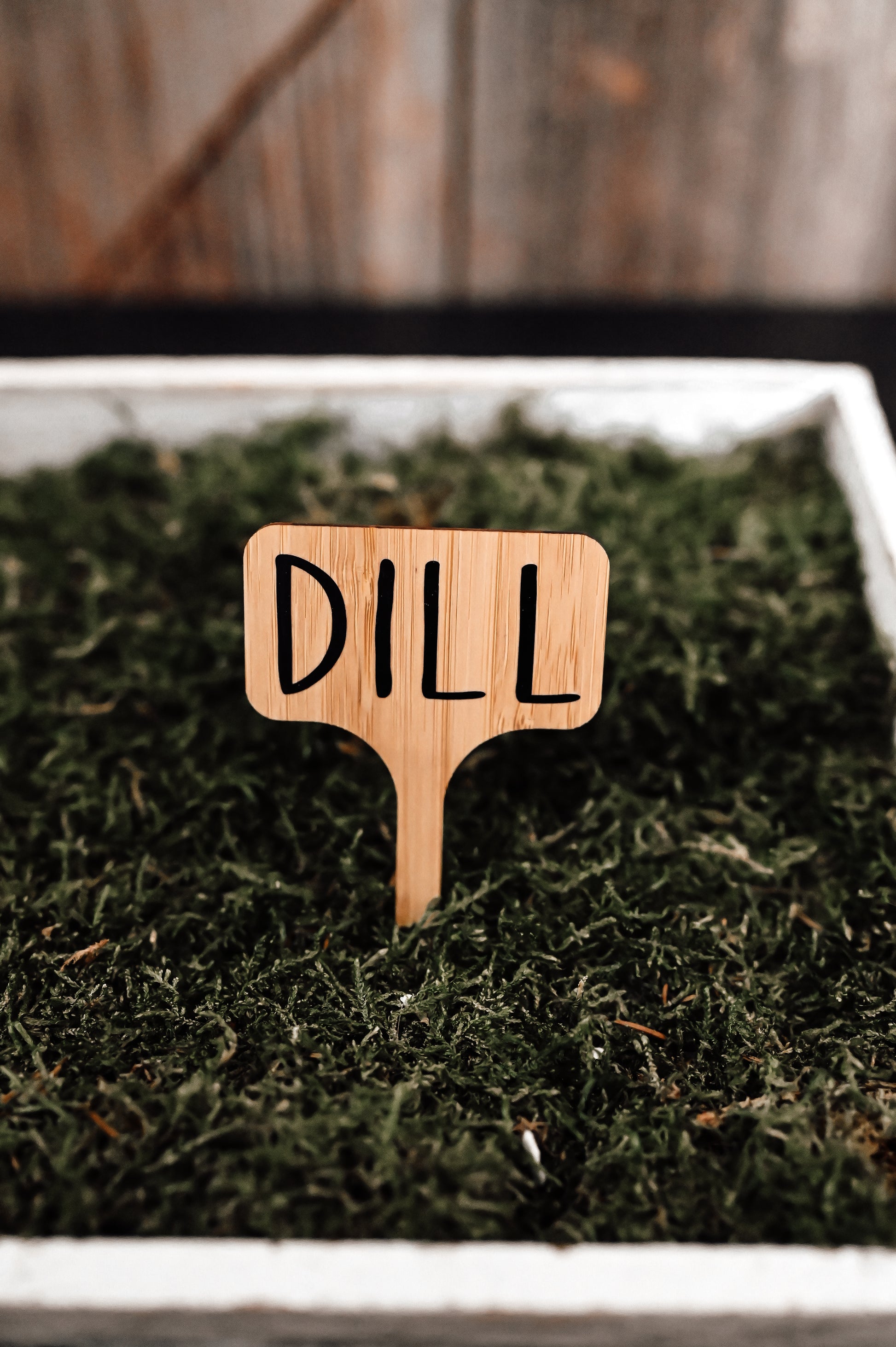 dill-garden-stake