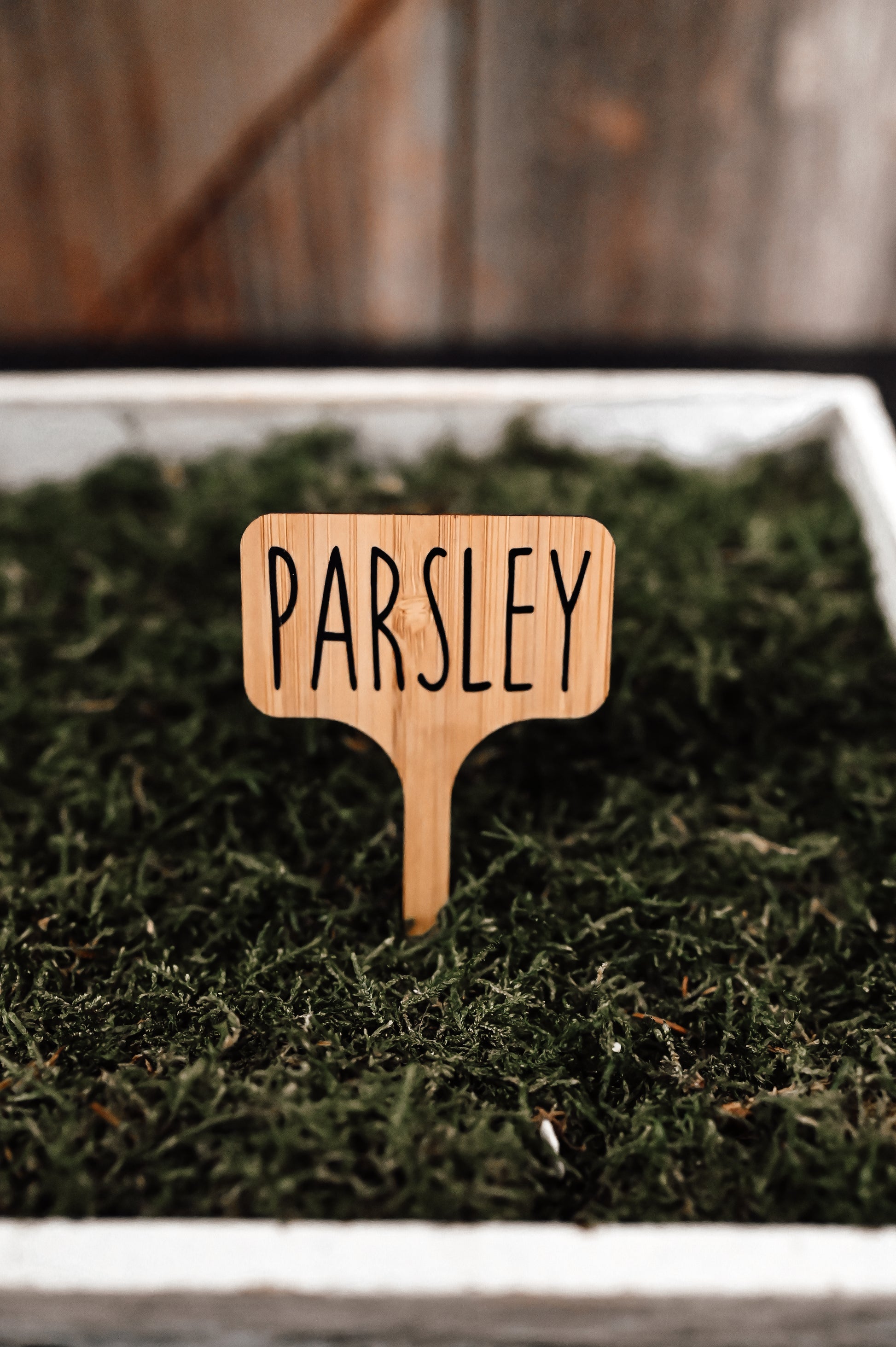 parsley-garden-stake