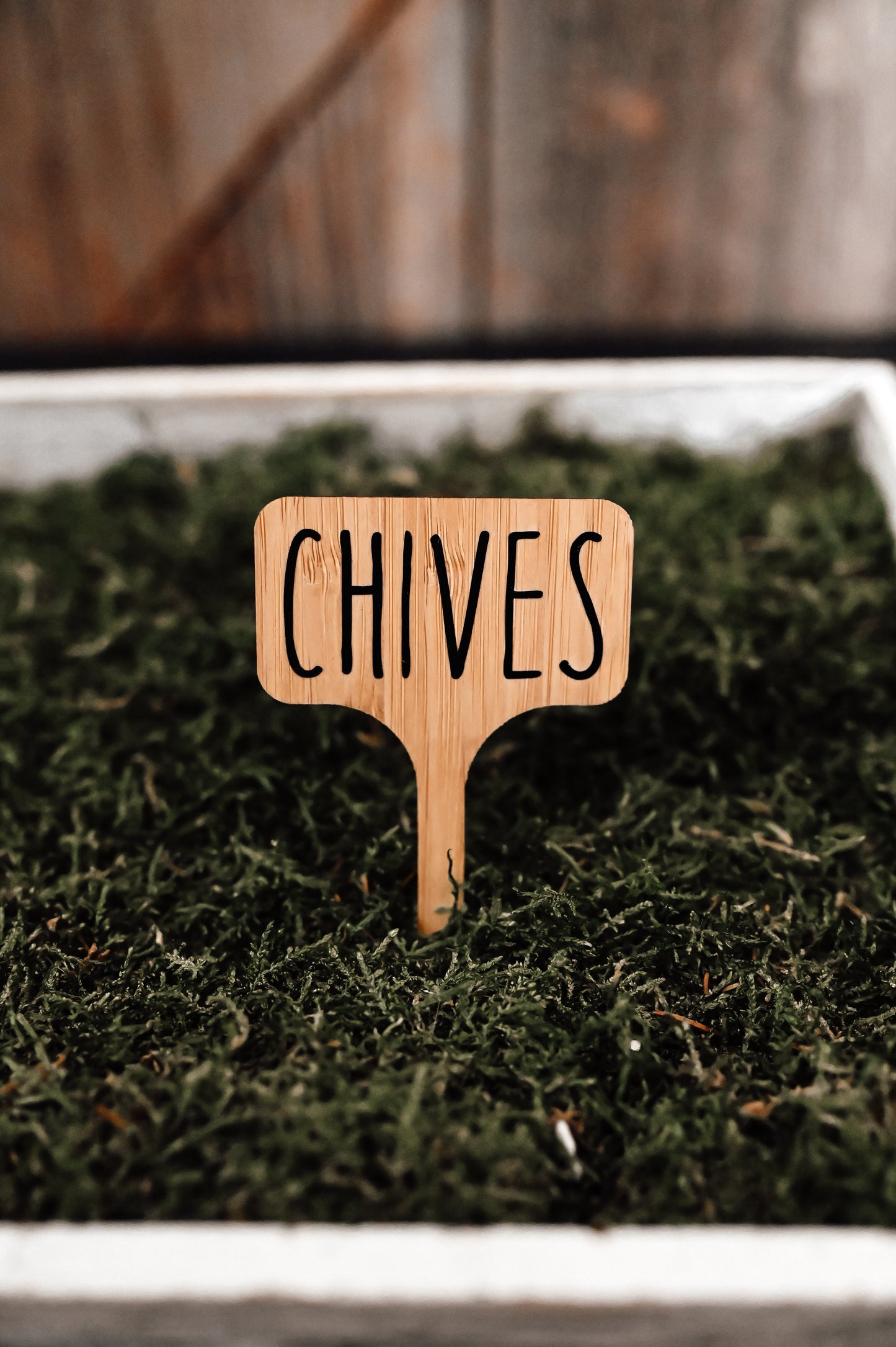 chives-garden-stake