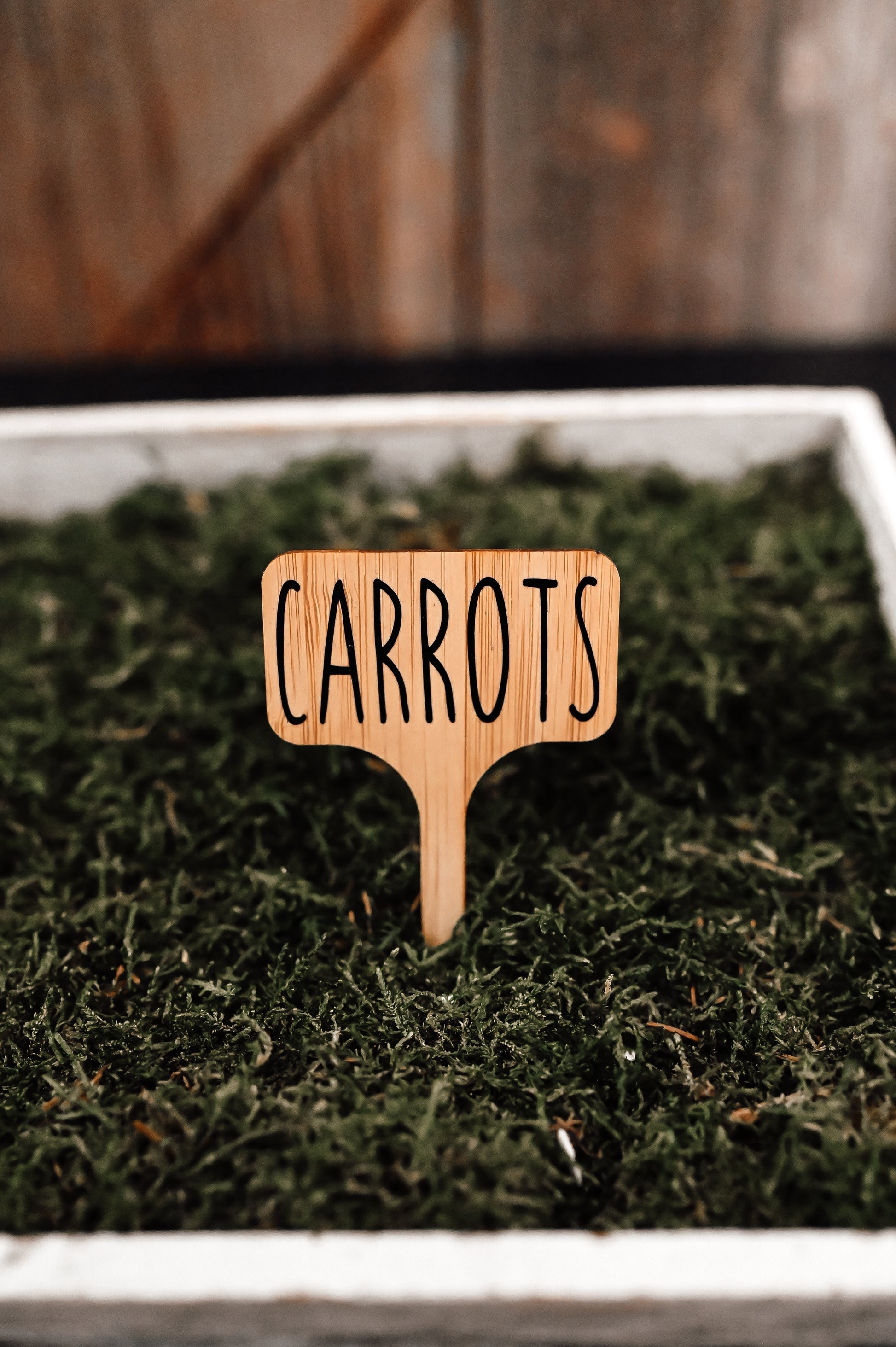 carrots-garden-stake