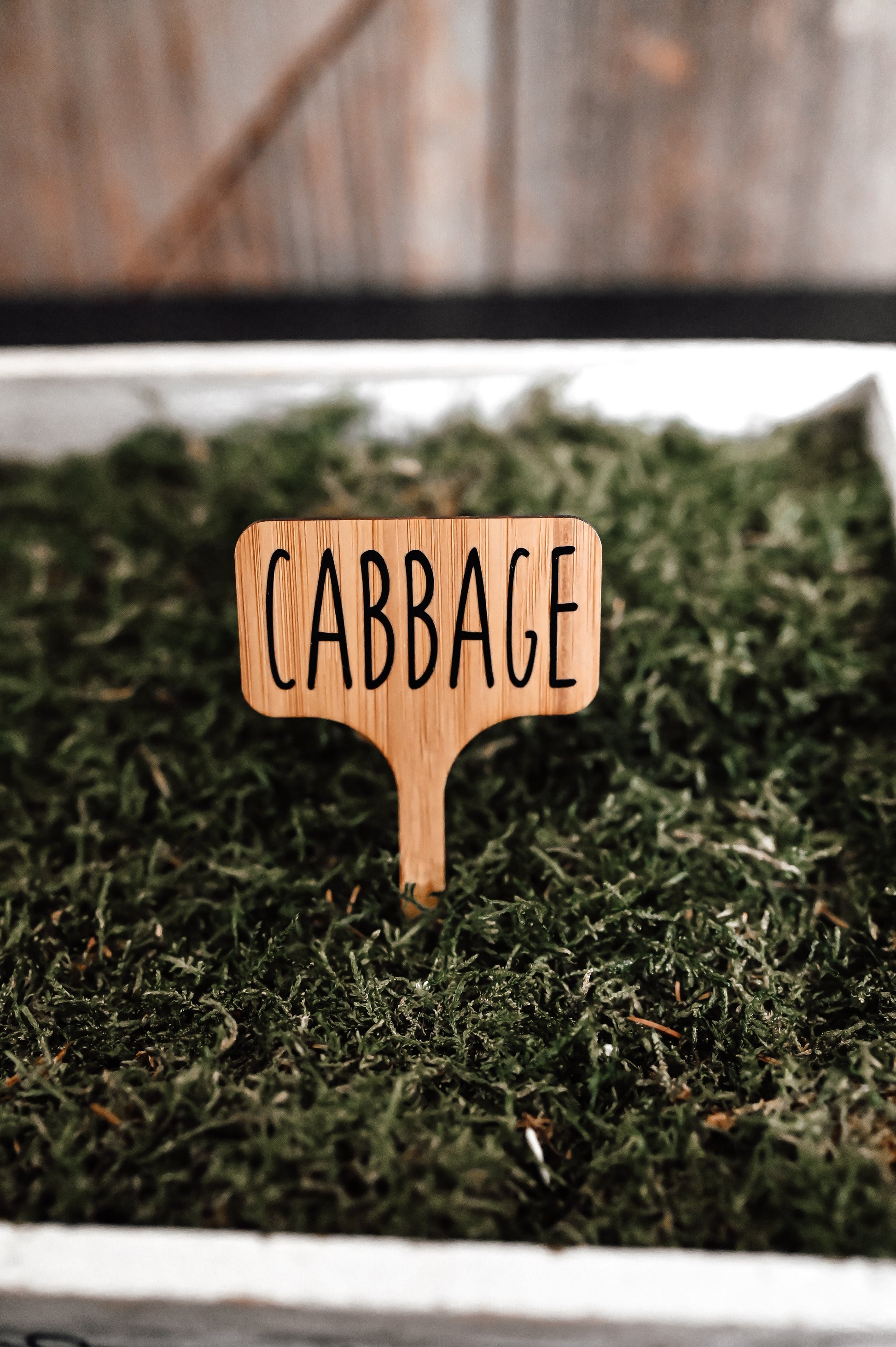 cabbage-garden-stake