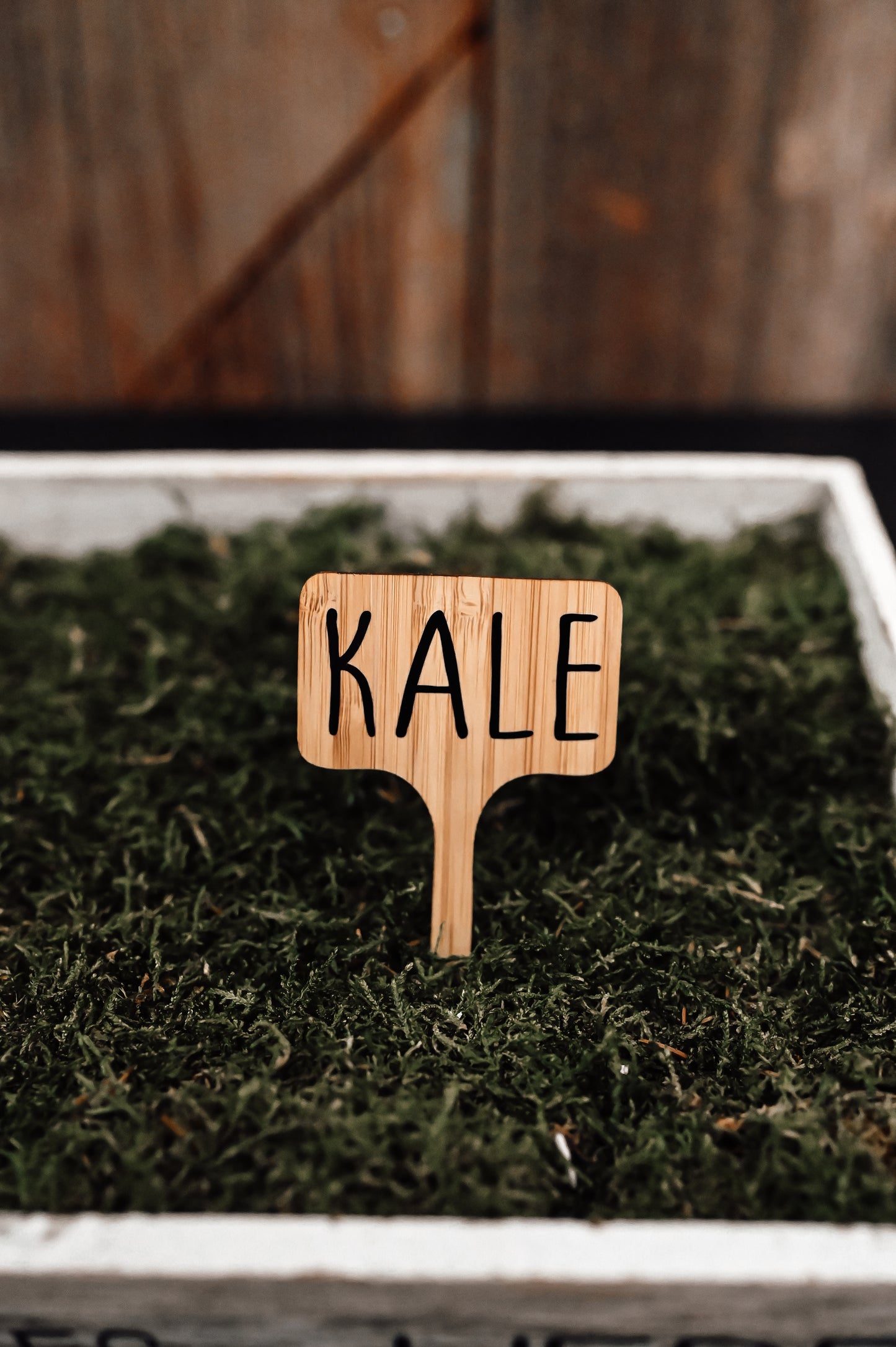 kale-garden-stake