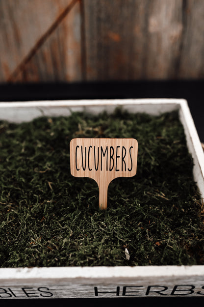 cucumbers-garden-stake
