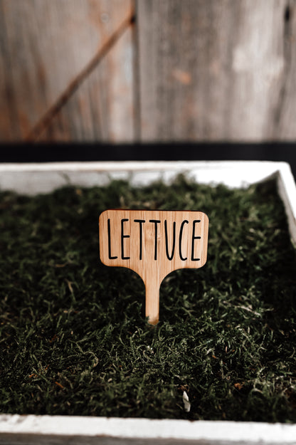 lettuce-garden-stake