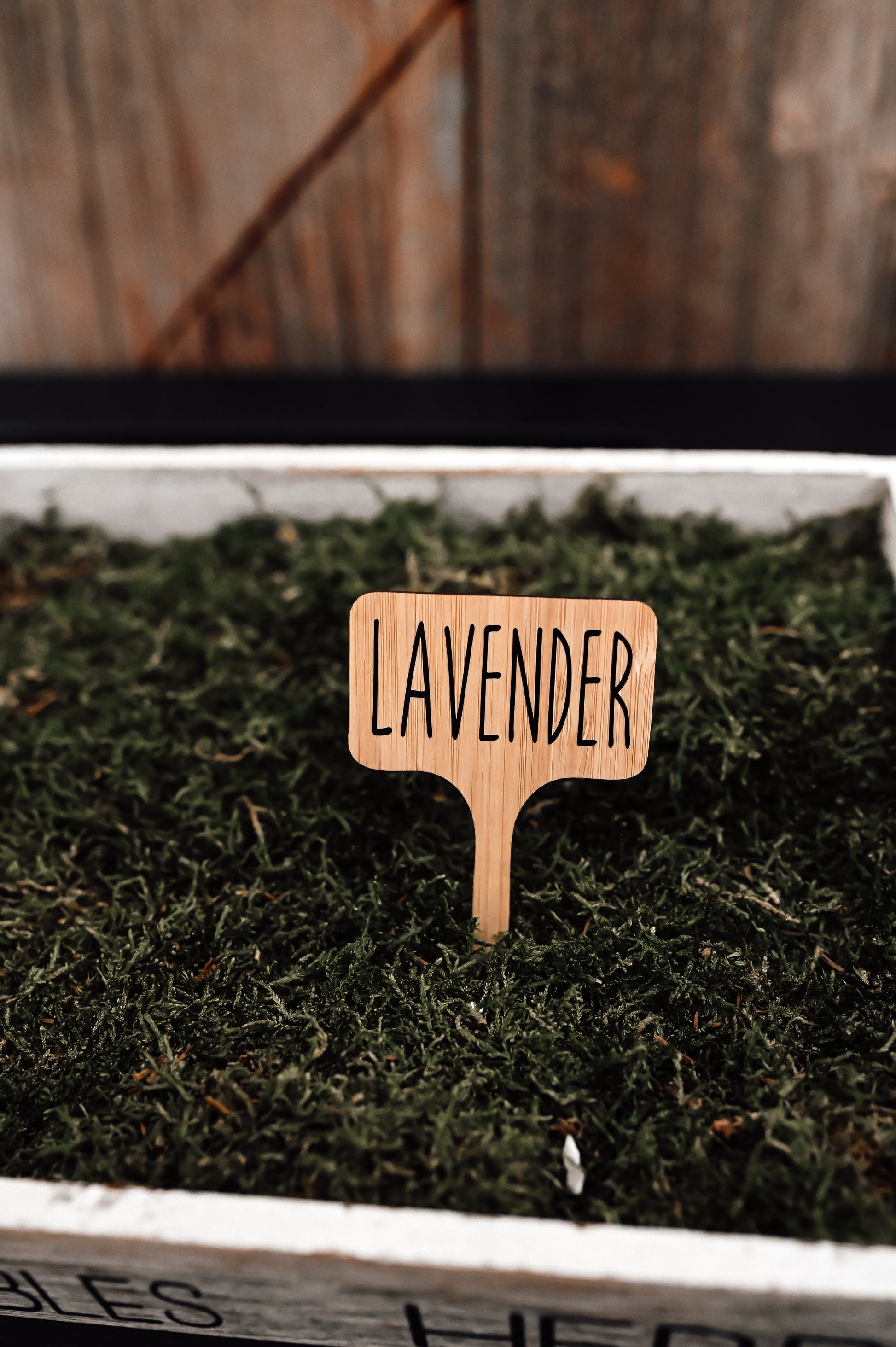 lavender-garden-stake