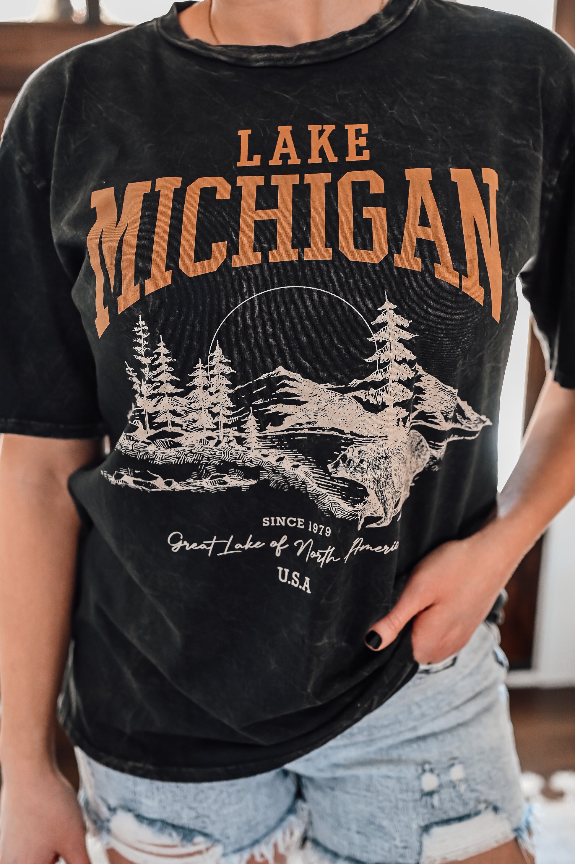 vintage-lake-michigan-shirt