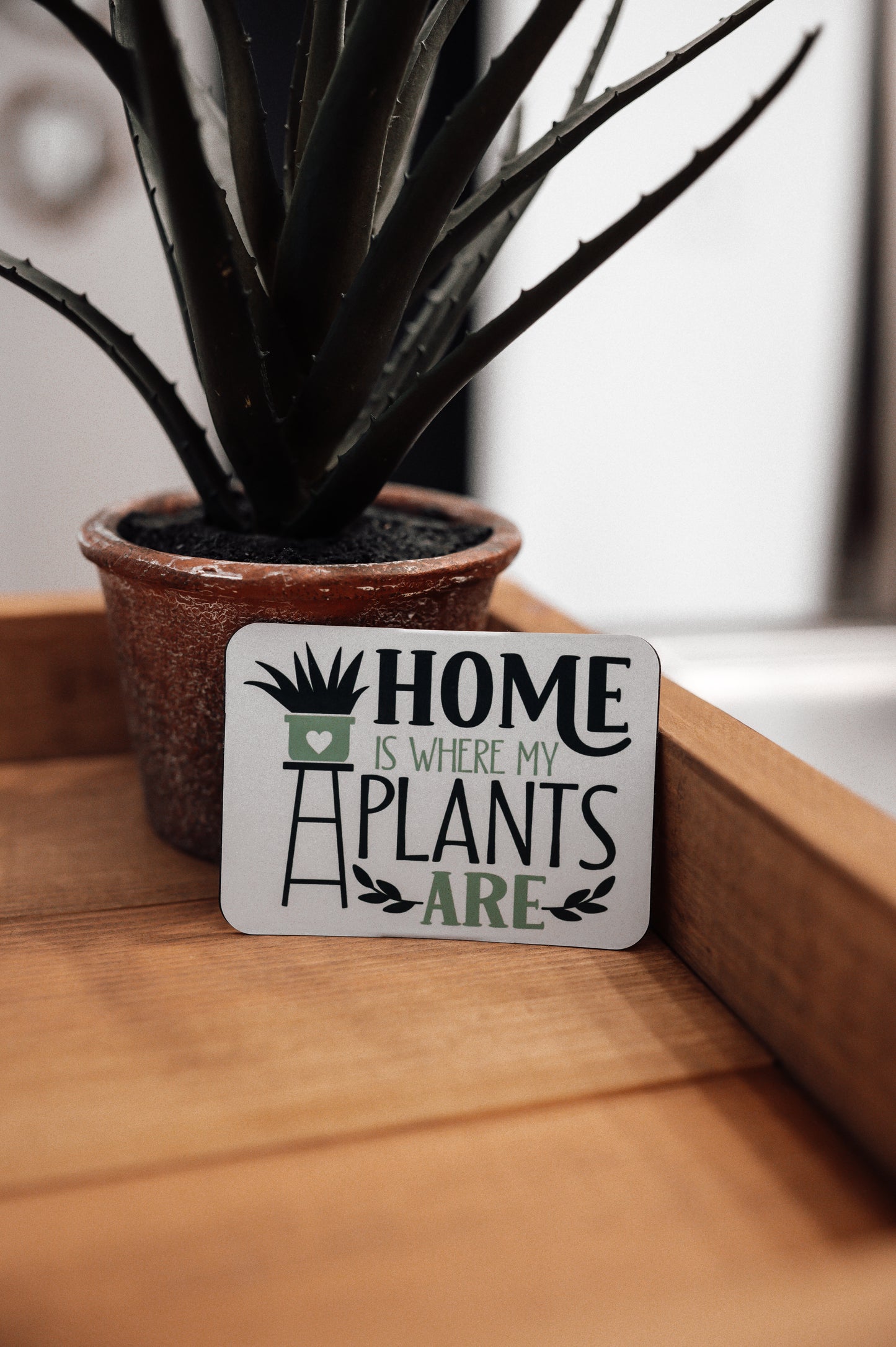 houseplants-kitchen-magnet