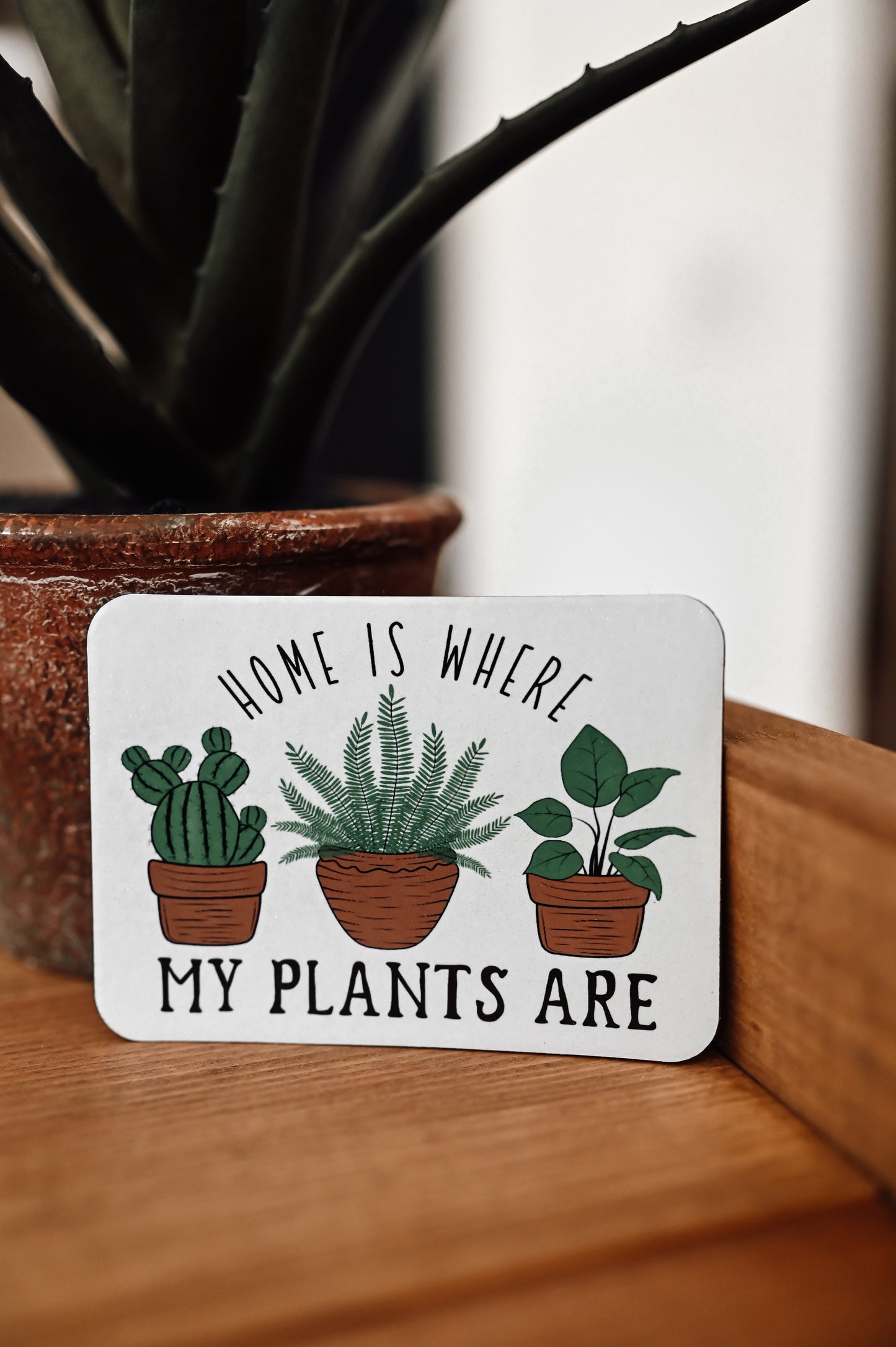 plant-kitchen-magnet